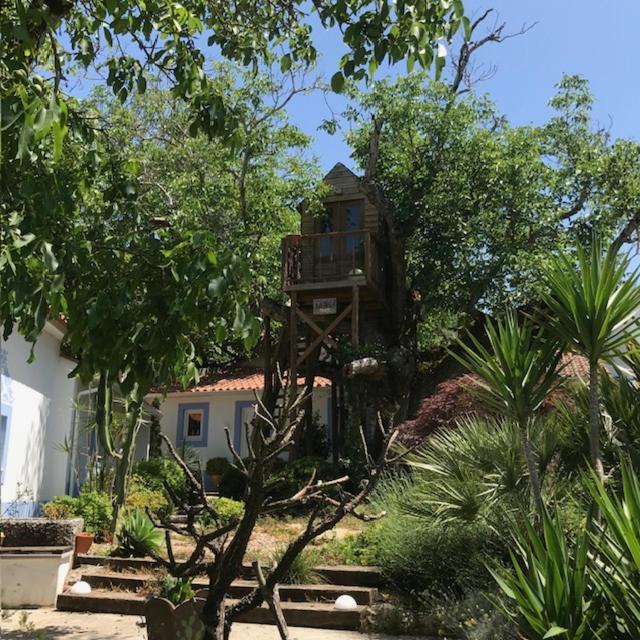 Casa Oliva - Casa Da Serra Porto de Mós Exterior foto