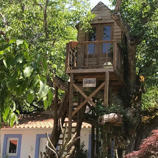 Casa Oliva - Casa Da Serra Porto de Mós Exterior foto